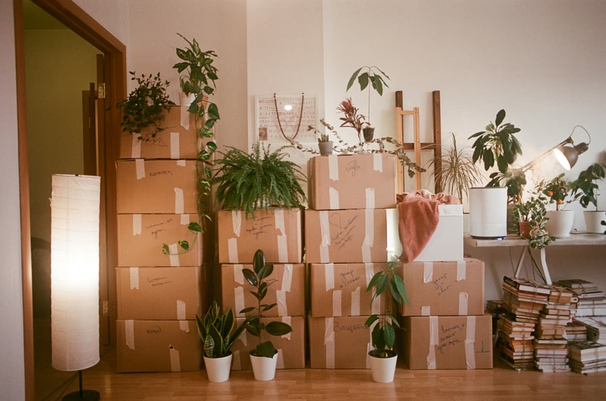 Moving boxes and packing supplies
